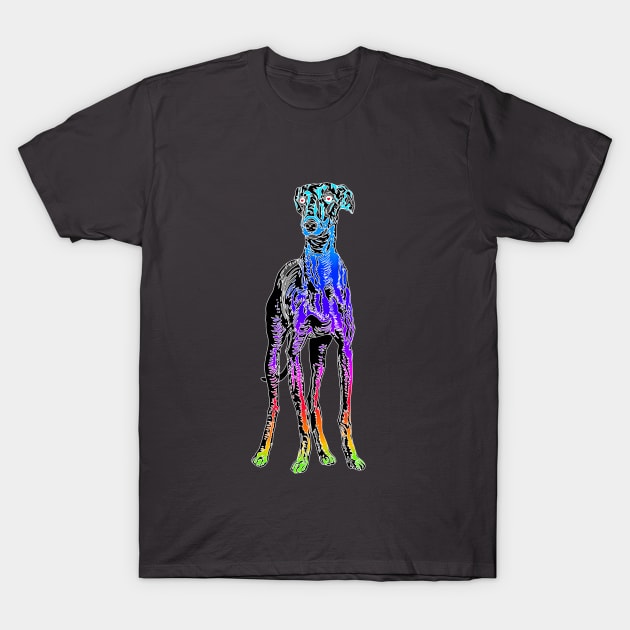 Dogs are Love - Rainbow T-Shirt by Vivid Chaos